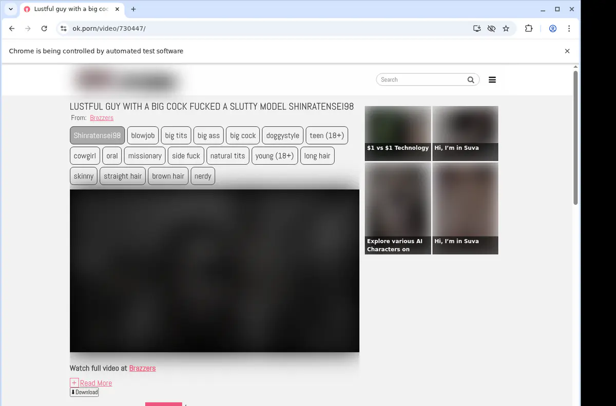Okporn Video Downloader browser extension screenshot 2
