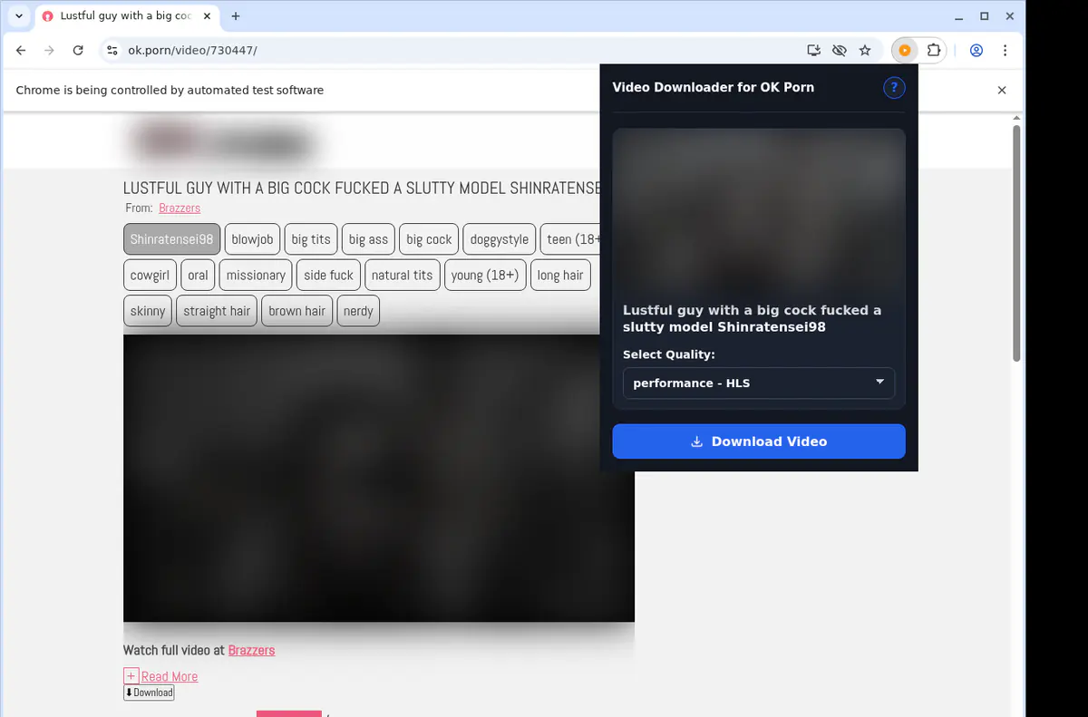 Okporn Video Downloader browser extension screenshot 3