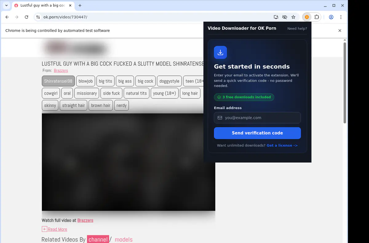 Okporn Video Downloader browser extension screenshot 5